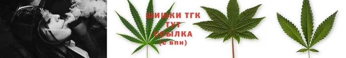 apvp Верея
