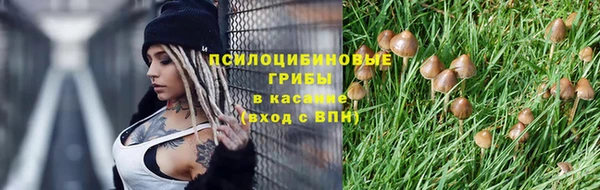 apvp Верея