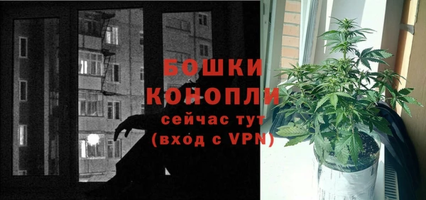 apvp Верея