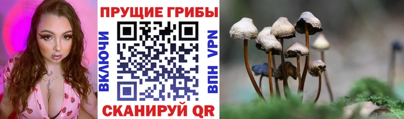 Псилоцибиновые грибы ЛСД  Нижний Новгород 